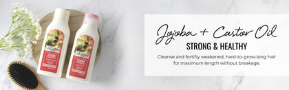 Jojoba