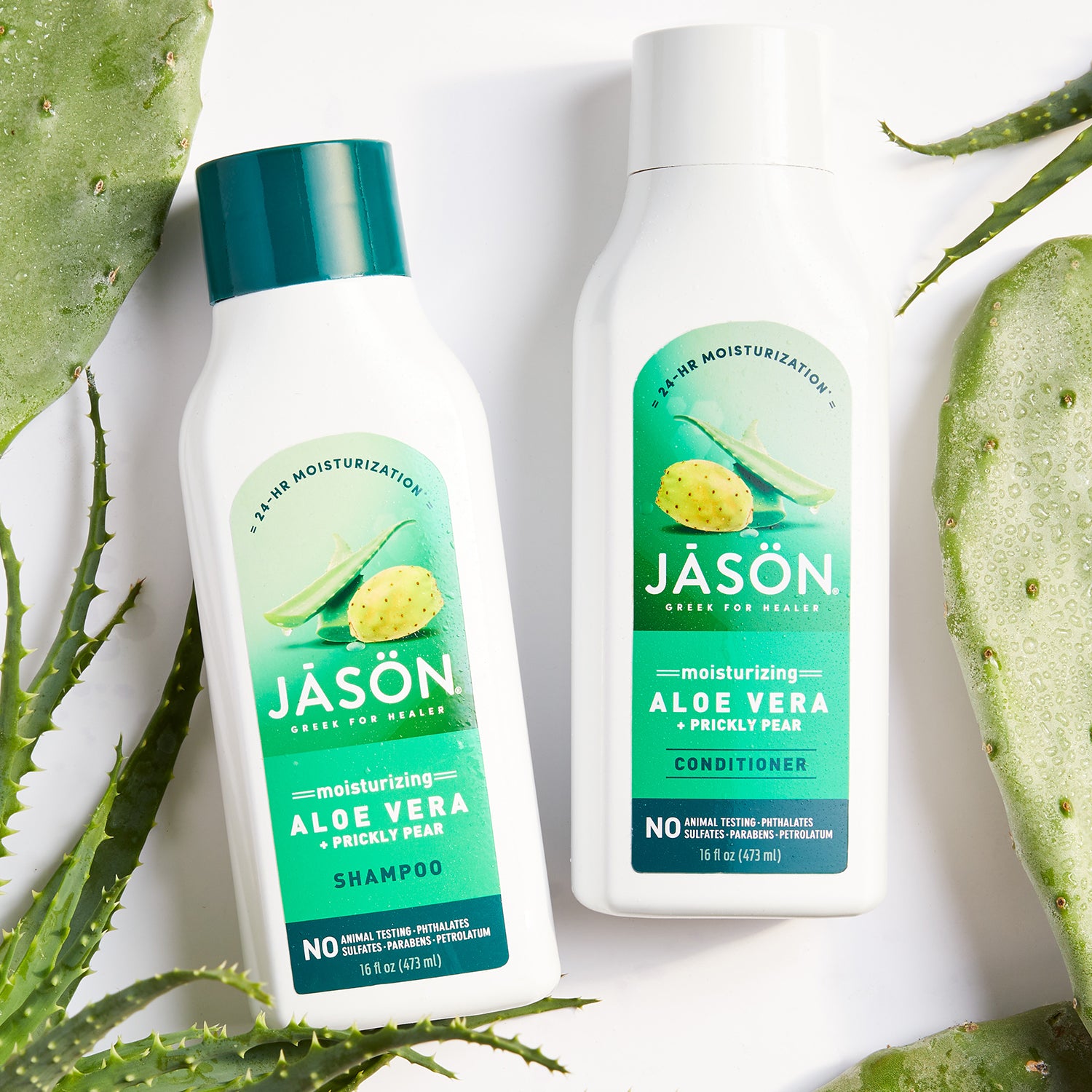 Moisturizing Aloe Vera + Prickly Pear Shampoo - Jason