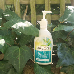 Purifying Tea Tree Hand Soap - Jason