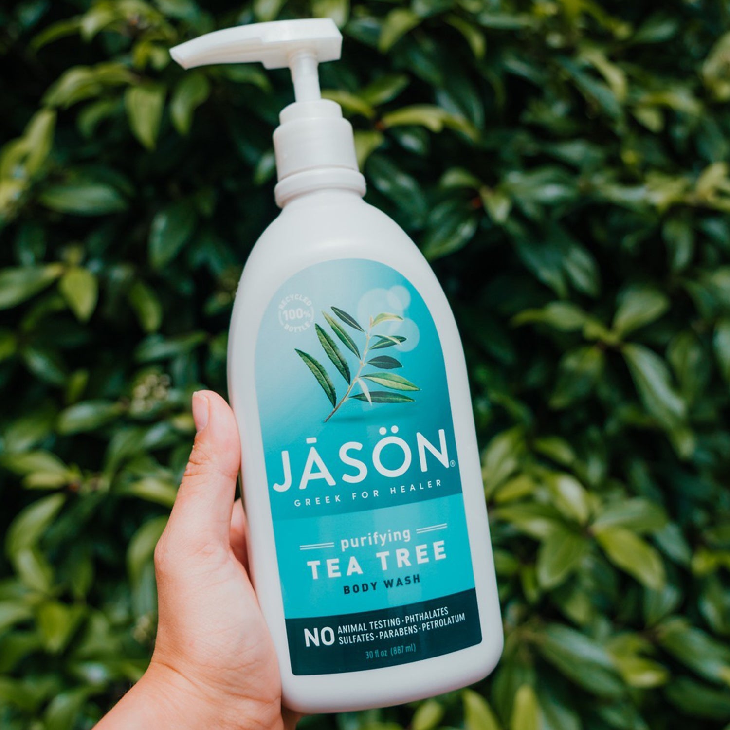 Purifying Tea Tree Deodorant Stick - Jason