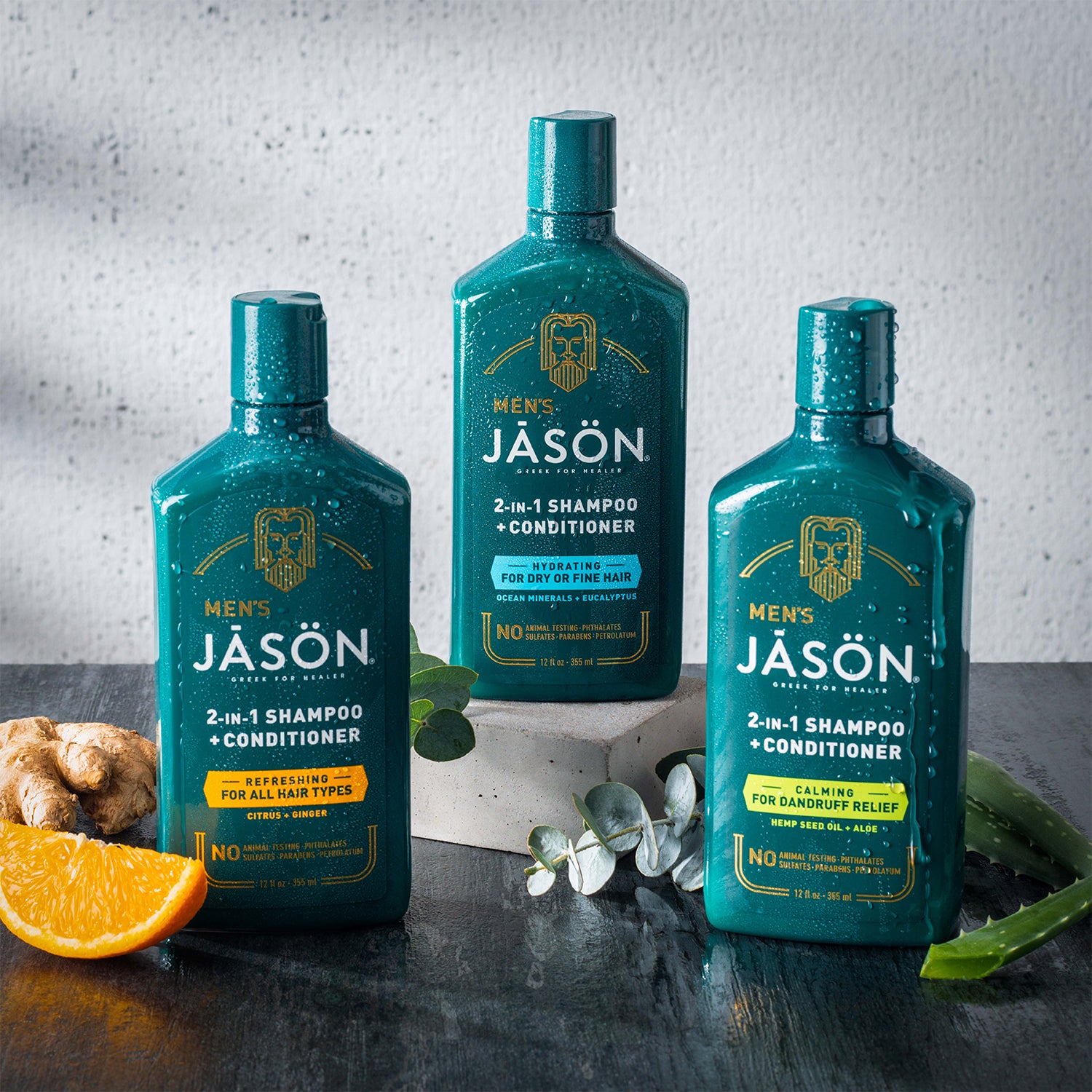 Men's Calming 2-in-1 Shampoo and Conditioner - Jason